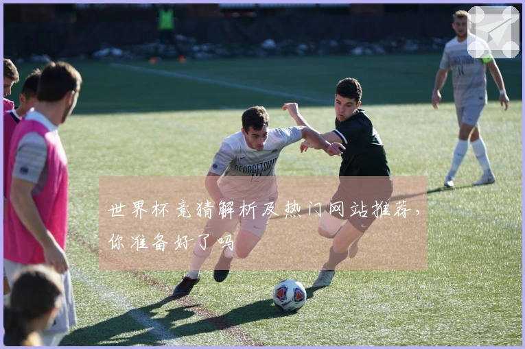 世界杯竞猜解析及热门网站推荐，你准备好了吗