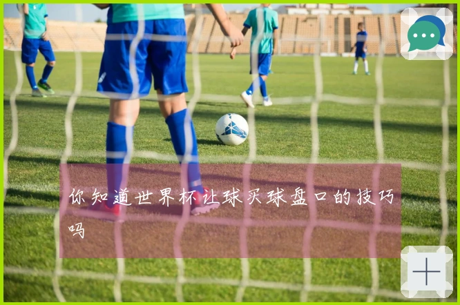 你知道世界杯让球买球盘口的技巧吗