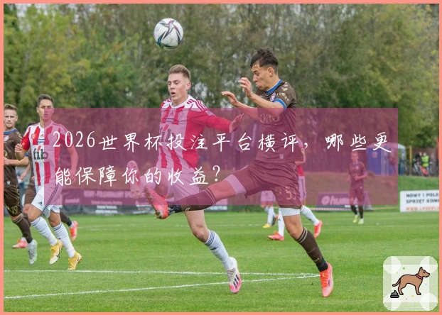 2026世界杯投注平台横评，哪些更能保障你的收益？