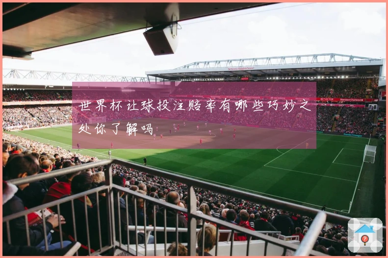 世界杯让球投注赔率有哪些巧妙之处你了解吗