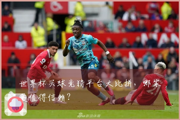 世界杯买球竞猜平台大比拼，哪家更值得信赖？