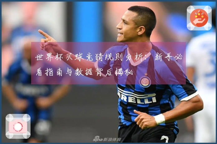 世界杯买球竞猜规则分析：新手必看指南与数据背后揭秘
