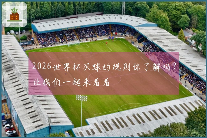 2026世界杯买球的规则你了解吗？让我们一起来看看