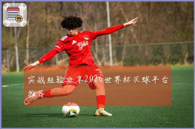 实战经验分享2026世界杯买球平台推荐