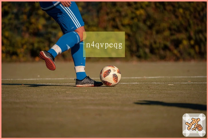 n4qvpeqg