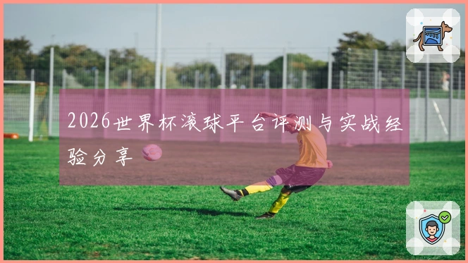 2026世界杯滚球平台评测与实战经验分享