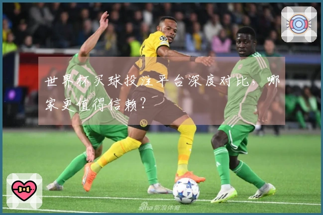 世界杯买球投注平台深度对比，哪家更值得信赖？