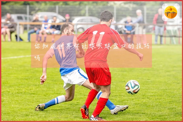 你知道世界杯让球买球盘口的技巧吗