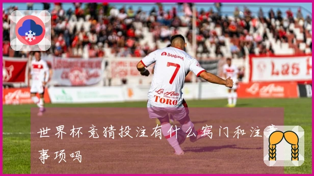 世界杯竞猜投注有什么窍门和注意事项吗